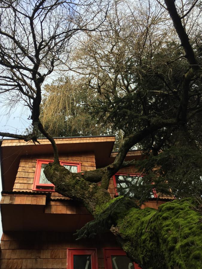 Almabosque Cabanas Puerto Varas Buitenkant foto
