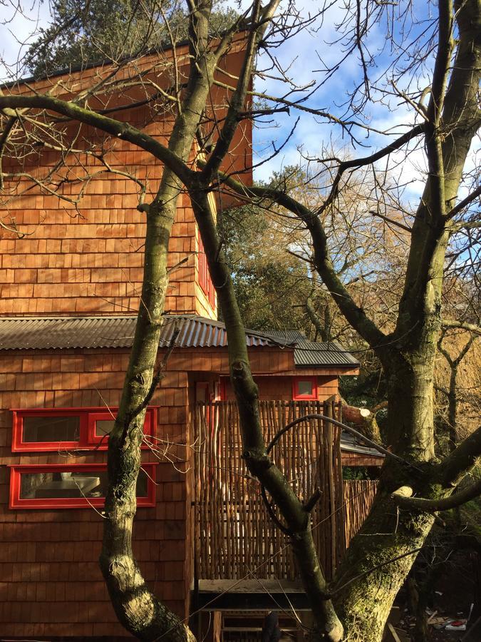 Almabosque Cabanas Puerto Varas Buitenkant foto