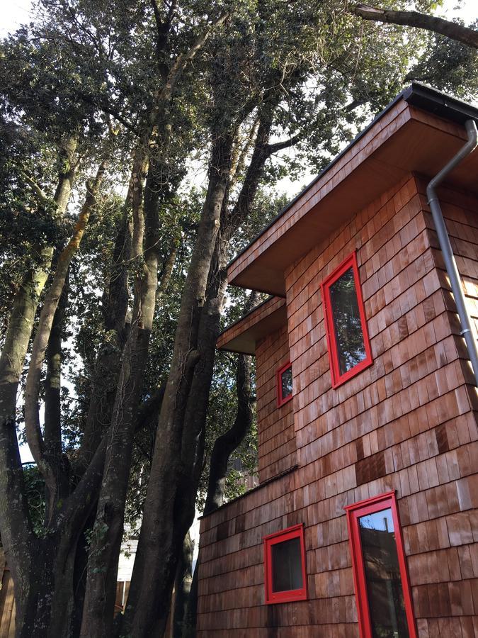 Almabosque Cabanas Puerto Varas Buitenkant foto