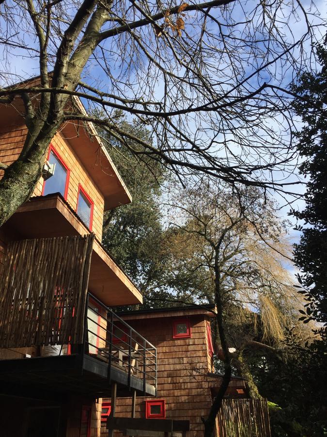 Almabosque Cabanas Puerto Varas Buitenkant foto