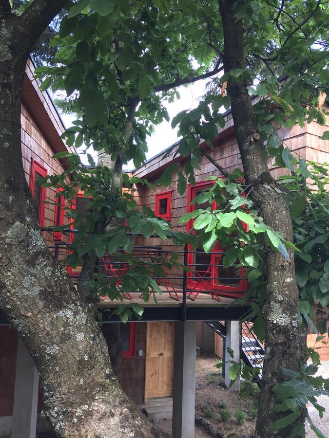 Almabosque Cabanas Puerto Varas Buitenkant foto