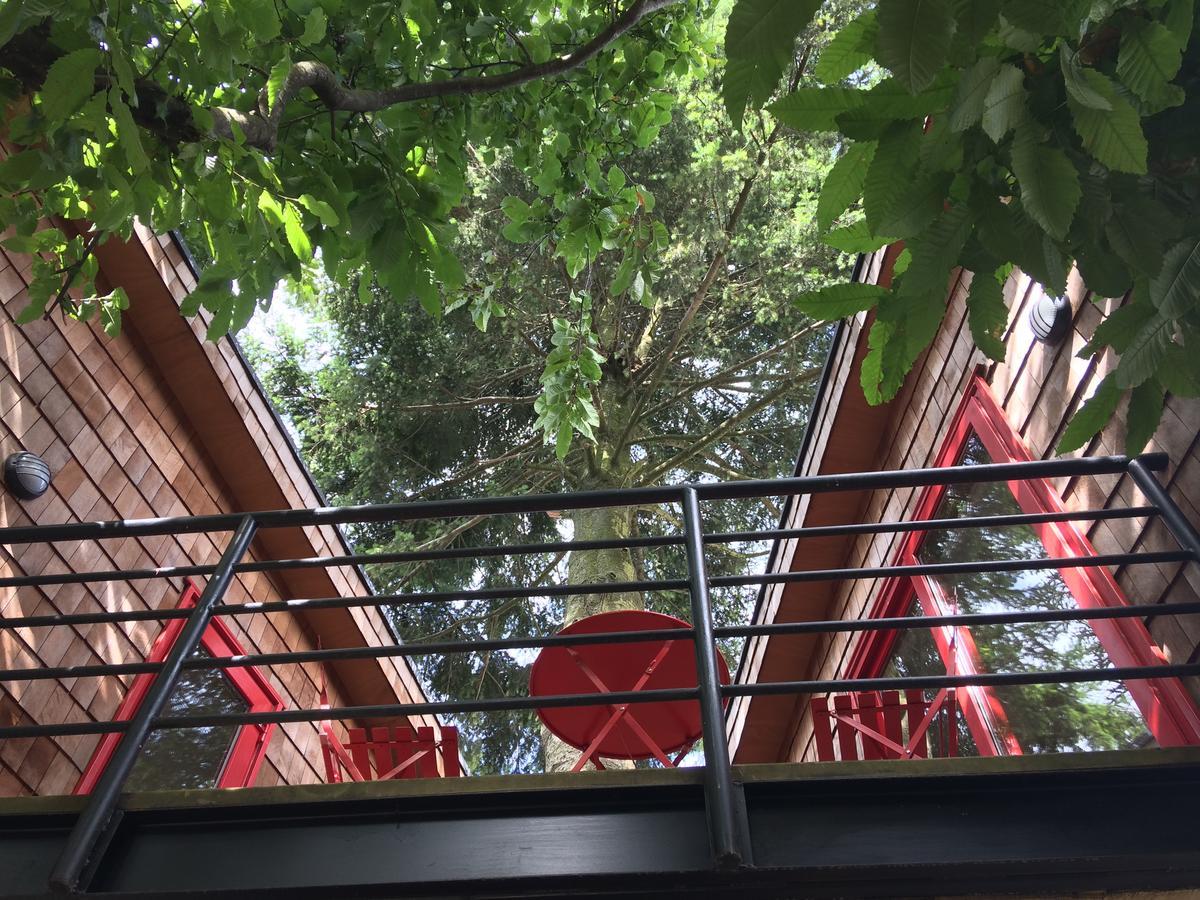 Almabosque Cabanas Puerto Varas Buitenkant foto